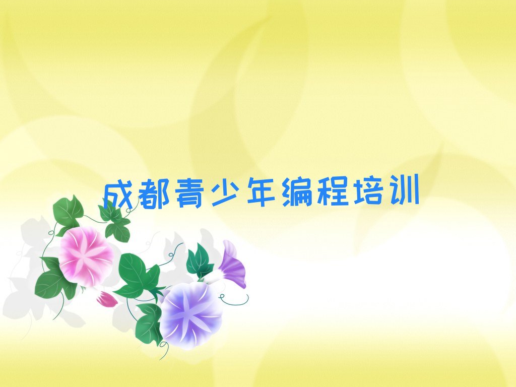 成都成华区青少年编程培训学校