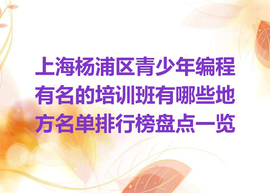 上海杨浦区青少年编程培训学校