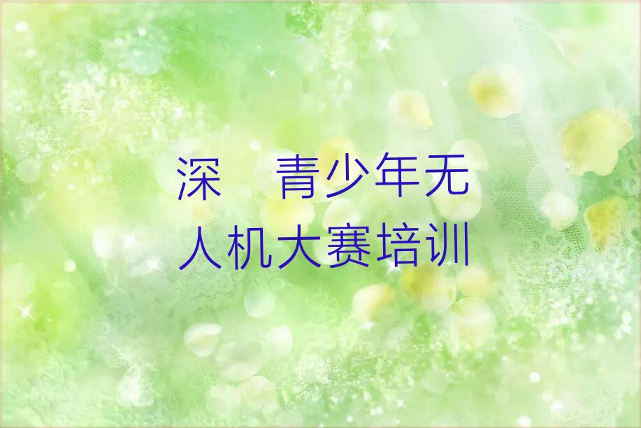 深圳光明区少儿编程培训班