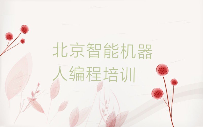 十大北京顺义区有没有智能机器人编程速成班的学校排行榜