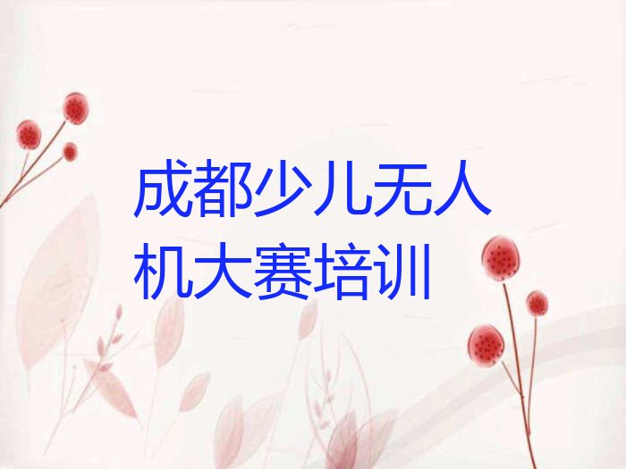 成都少儿无人机大赛培训学校