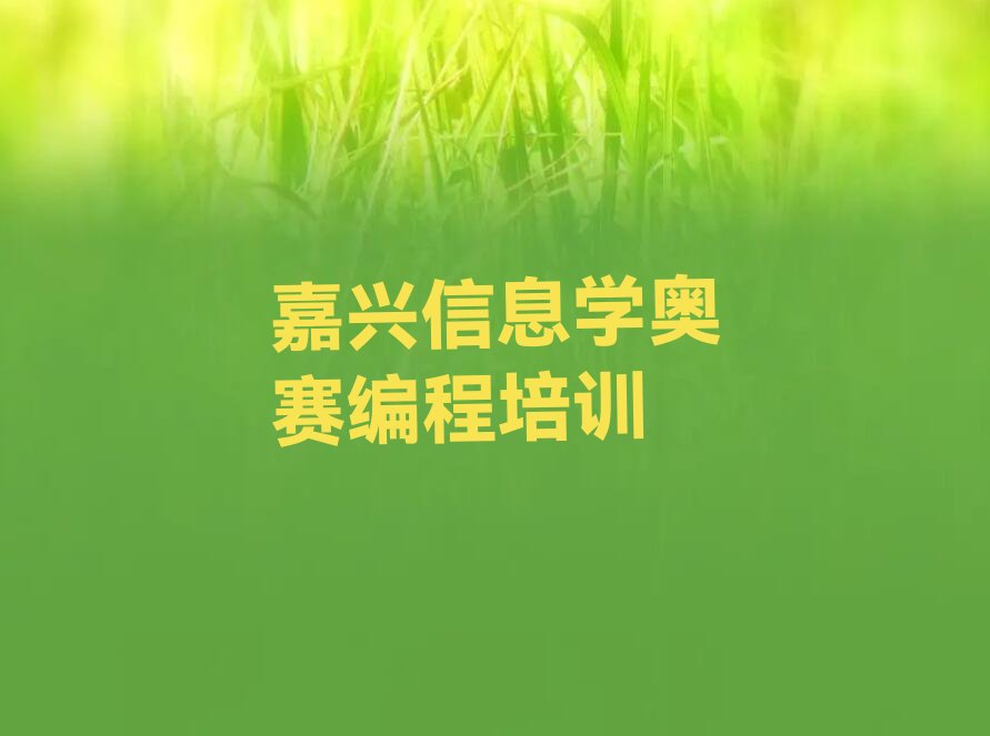 嘉兴南湖区少儿编程培训