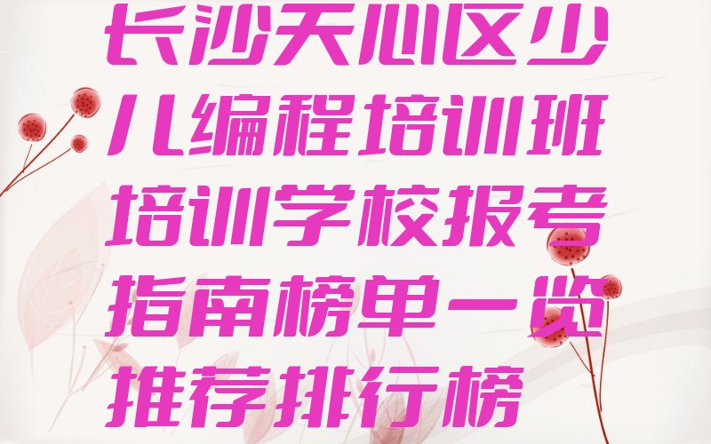 长沙天心区坡子街少儿编程培训学校