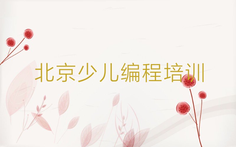 北京朝阳区少儿编程培训班