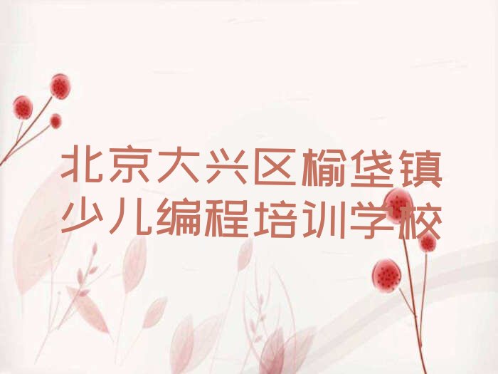 北京大兴区榆垡镇少儿编程培训学校
