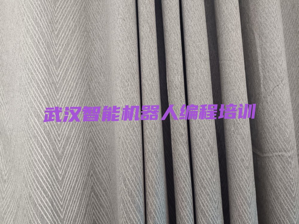武汉汉阳区智能机器人编程培训学校