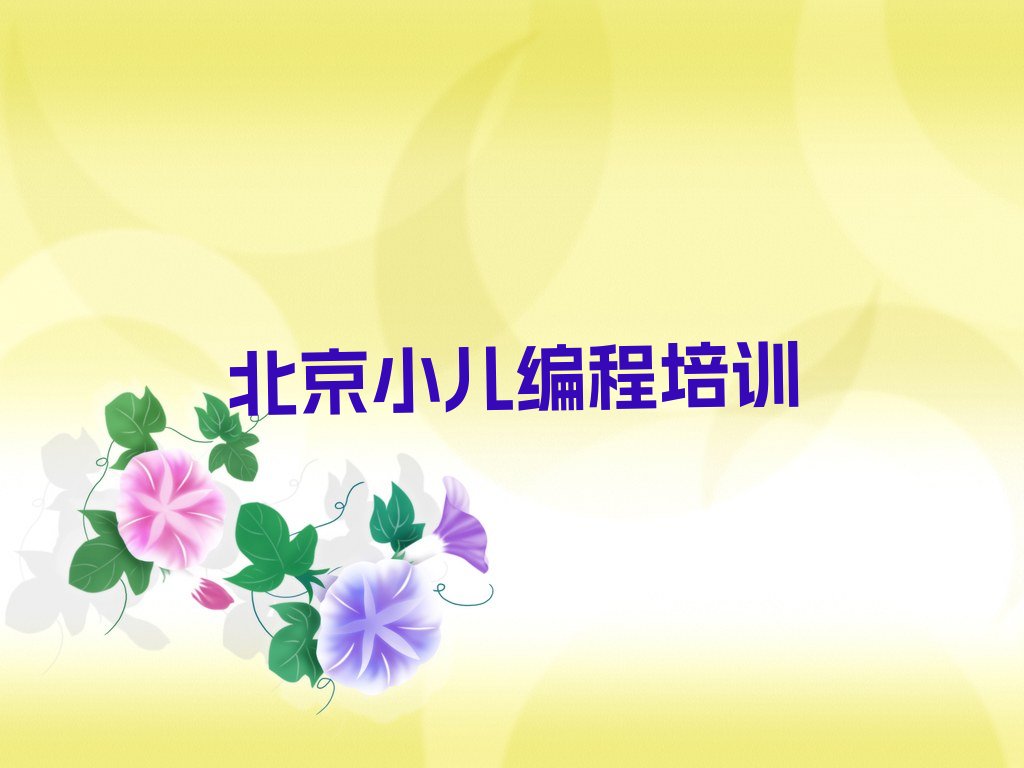 十大目前比较好的北京小儿编程培训机构排行榜