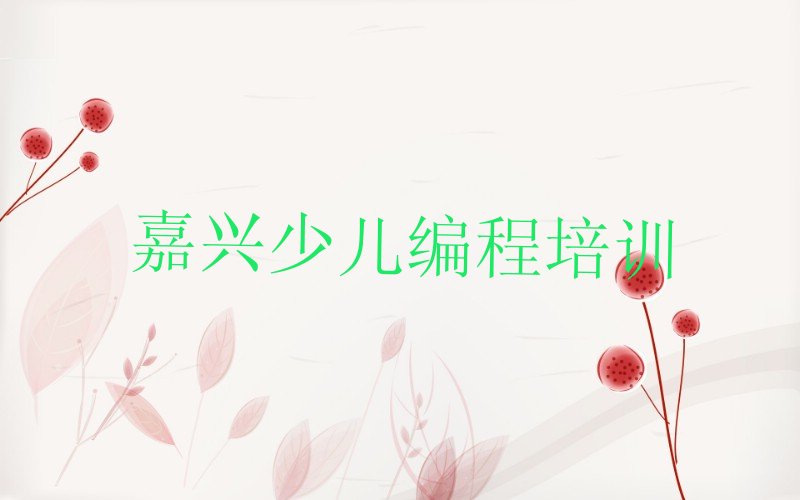 嘉兴秀洲区小儿编程培训学校