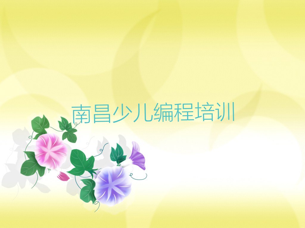 南昌新建区幼儿编程培训学校