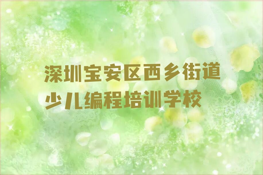 深圳宝安区西乡街道少儿编程培训学校