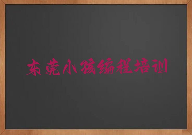东莞少儿编程培训中心