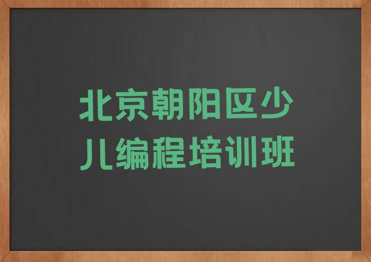 北京朝阳区少儿编程培训班