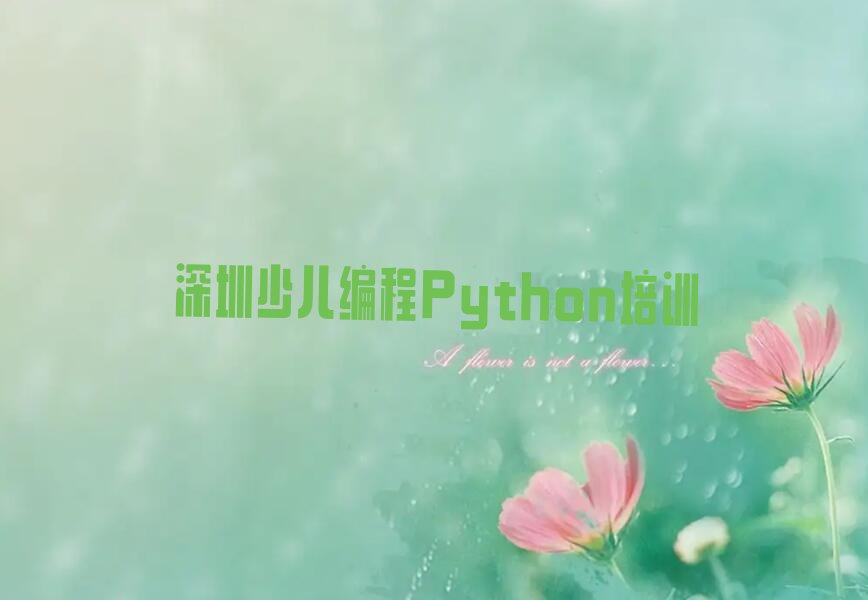 深圳少儿编程培训中心