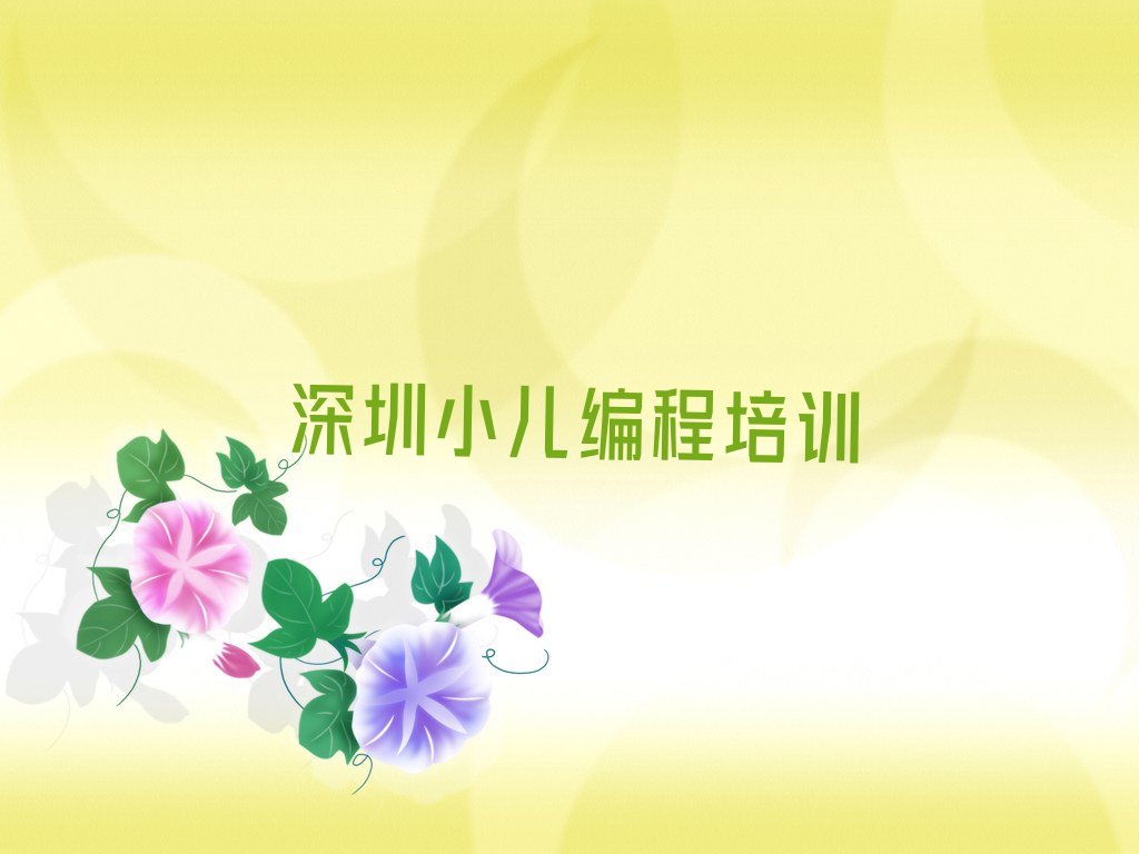 深圳南山区少儿编程培训中心