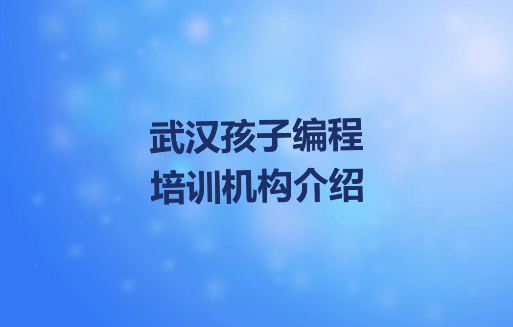 武汉少儿编程培训班