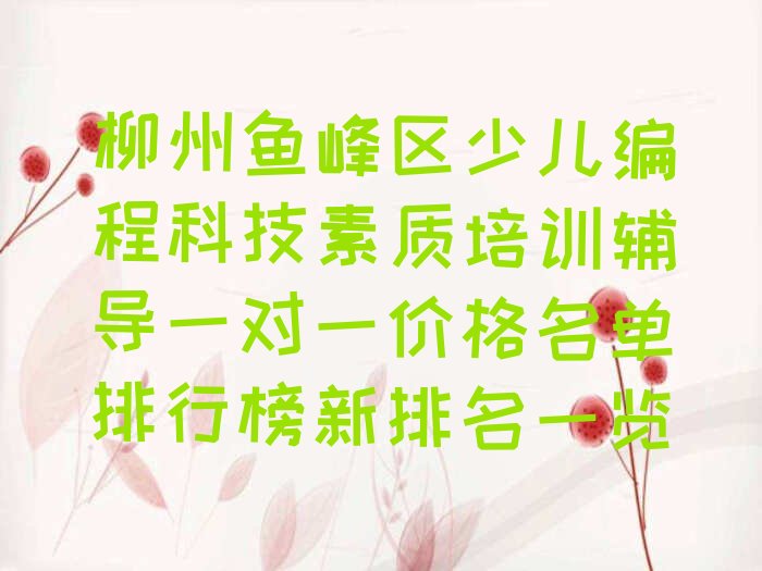 柳州少儿编程培训