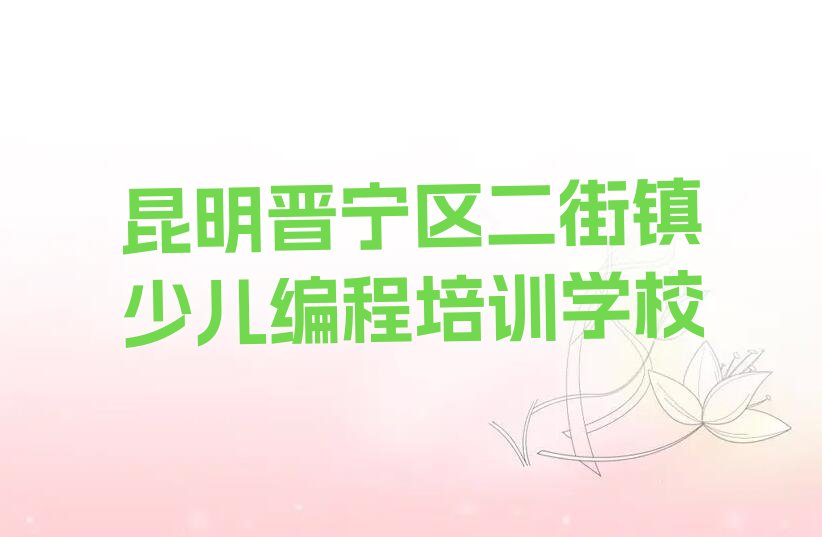 昆明晋宁区二街镇少儿编程培训学校