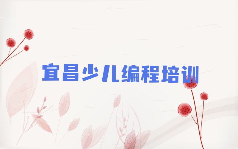 宜昌西陵区西坝街道少儿编程Python培训学校