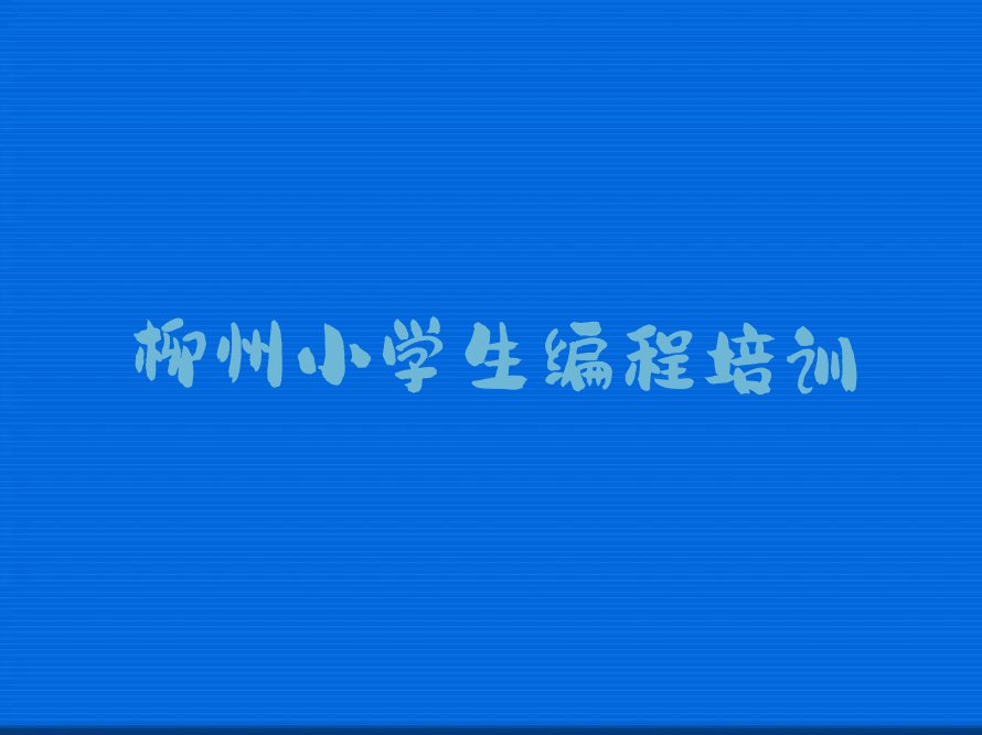 小学生编程