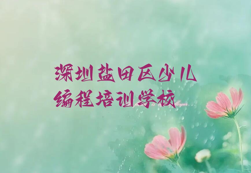 十大深圳盐田区哪里学孩子编程好排行榜