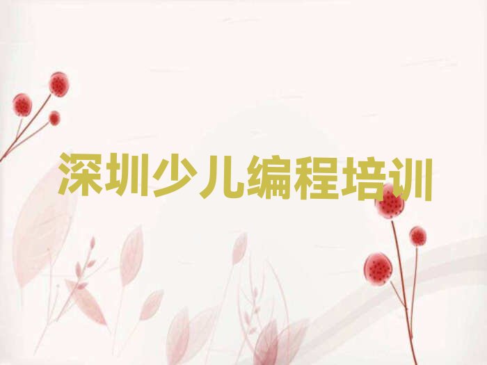 深圳盐田区少儿编程培训学校