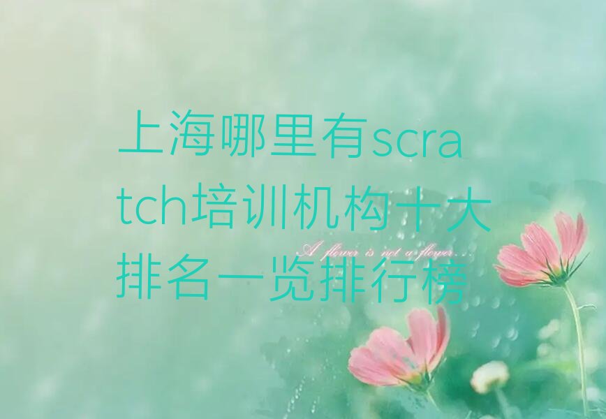 上海scratch培训学校