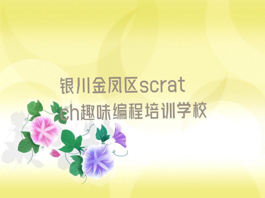 银川金凤区scratch趣味编程培训学校