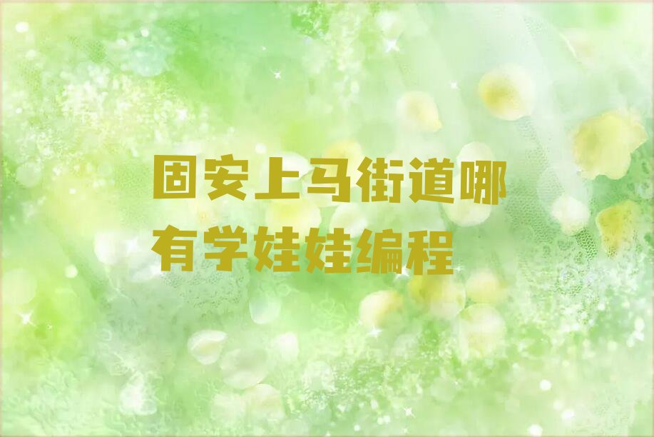 固安城阳区上马街道少儿编程培训学校