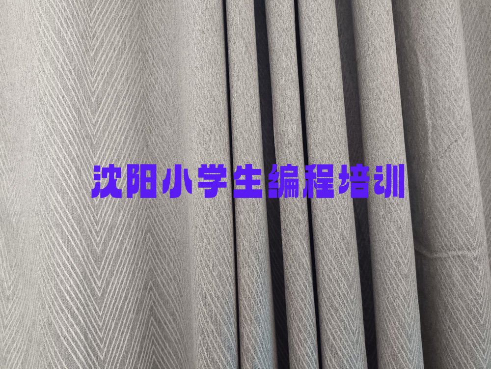 十大沈阳大东区小学生编程培训报名条件及流程-沈阳大东区小学生编程培训招生简章排行榜一览表排行榜