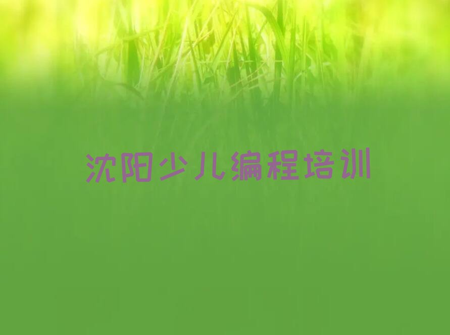 沈阳少儿编程培训班