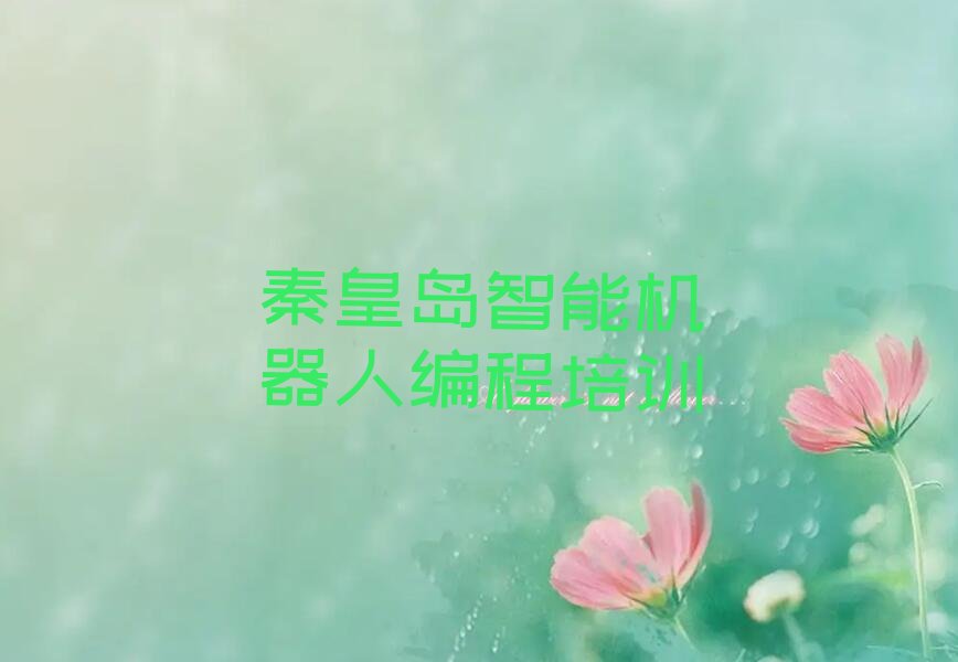 秦皇岛抚宁区少儿编程培训