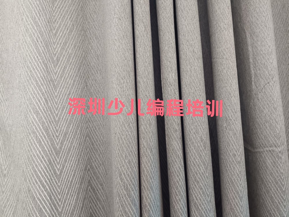 深圳龙华区龙华街道少儿编程培训学校