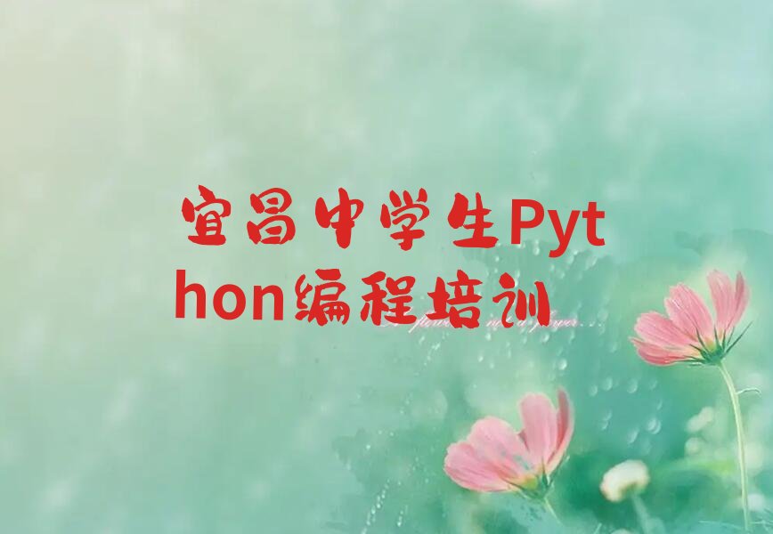宜昌点军区桥边镇少儿编程培训学校