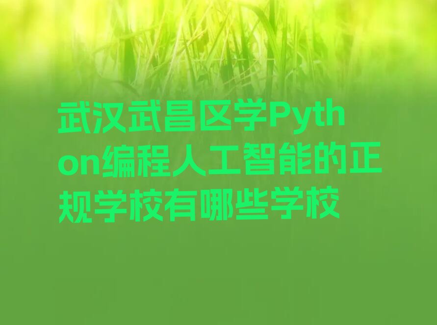 武汉武昌区少儿编程培训中心