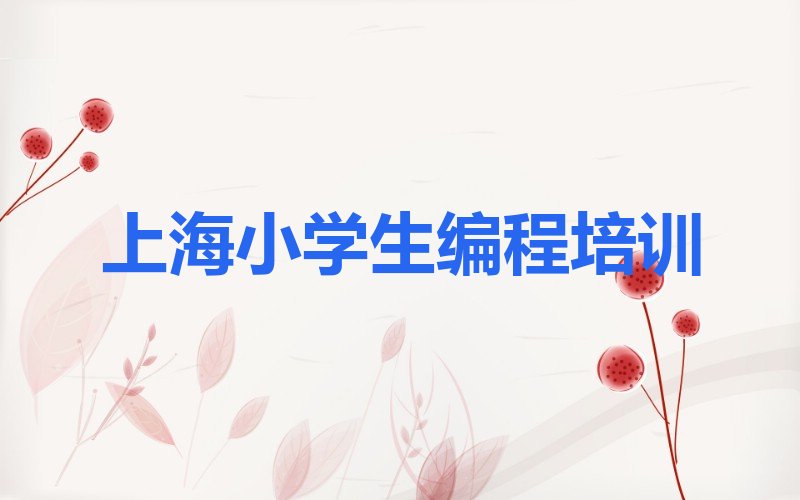 上海金山区少儿编程培训班