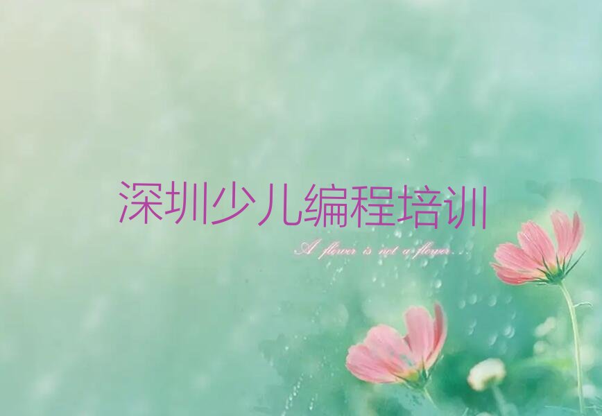 深圳少儿编程培训中心