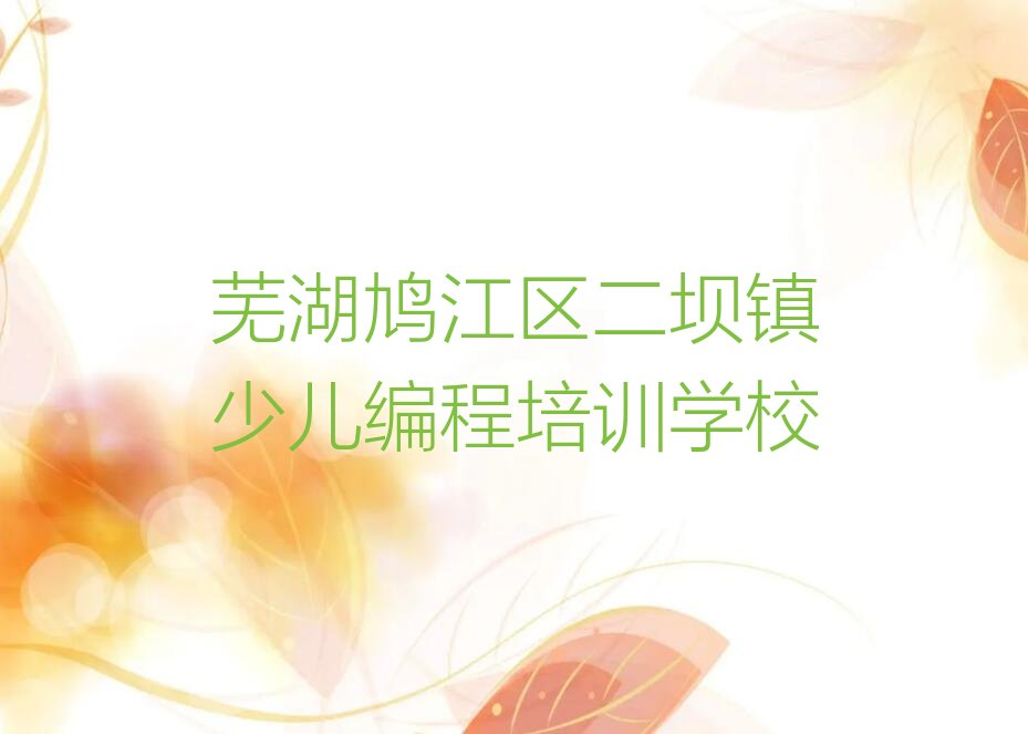 芜湖鸠江区二坝镇少儿编程培训学校