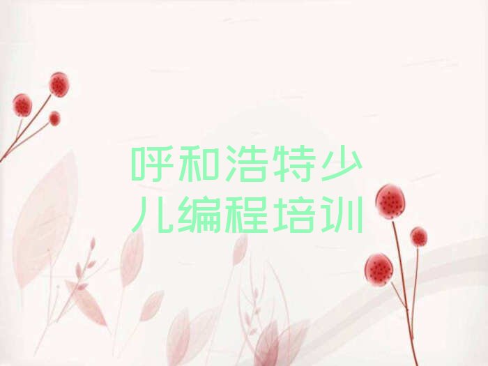呼和浩特赛罕区黄合少镇少儿编程培训学校