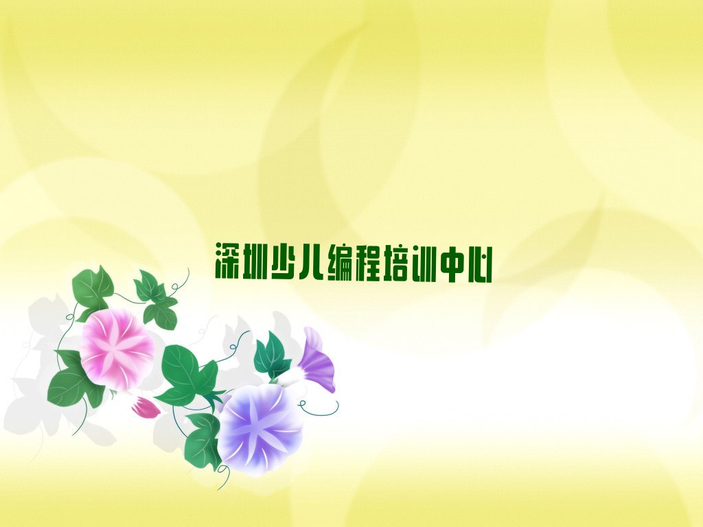 深圳少儿编程培训中心