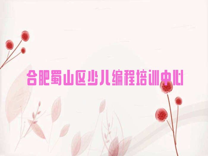 十大合肥学小学生编程有什么学校排行榜名单公布一览表排行榜