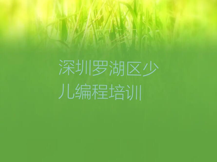 十大深圳罗湖区孩子编程学孩子编程学费大概要需要多少排行榜