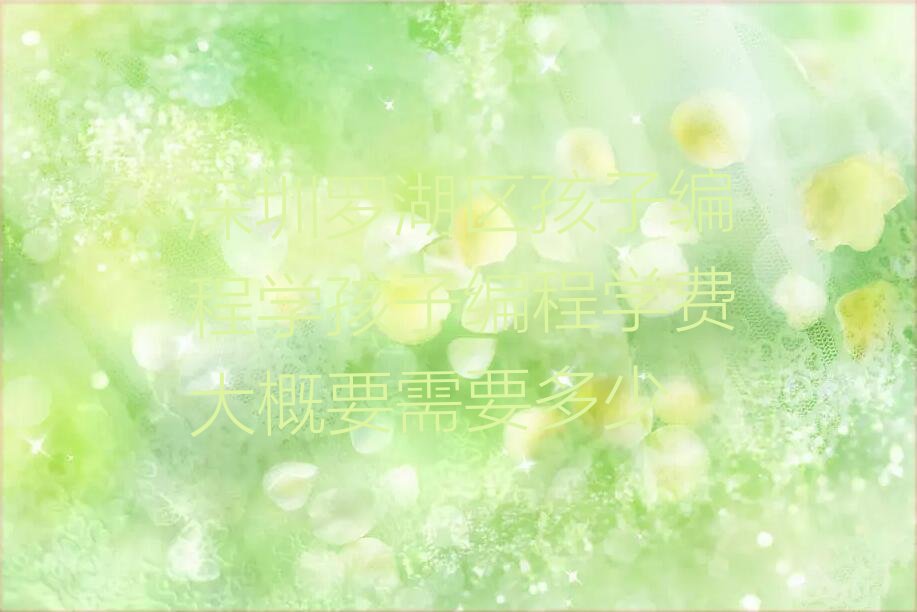深圳罗湖区少儿编程培训