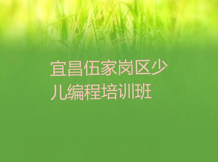 十大宜昌宝塔河街道noip培训好的noip机构排名-宜昌宝塔河街道noip培训排名2025年最新排行榜一览排行榜
