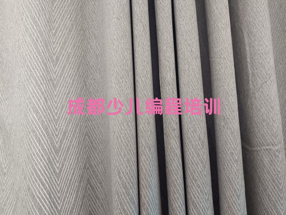 成都青白江区少儿编程培训