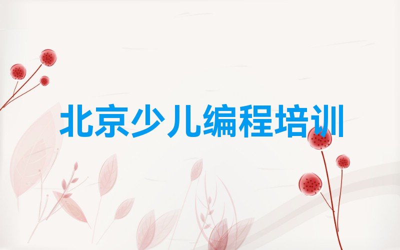 北京大兴区少儿编程培训