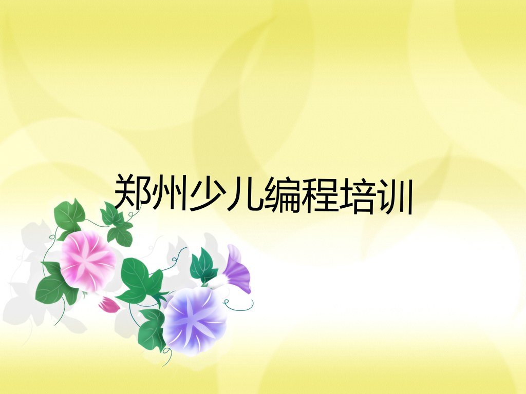 郑州中学生编程培训学校