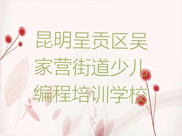 昆明呈贡区吴家营街道少儿编程培训学校
