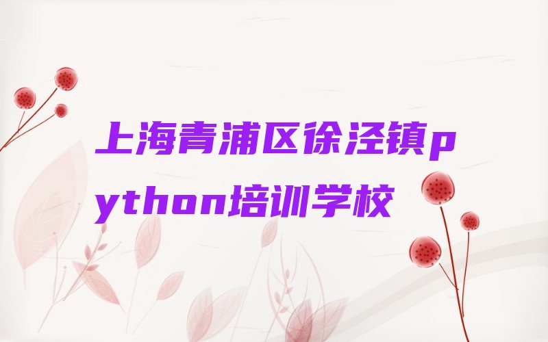 上海青浦区徐泾镇python培训学校