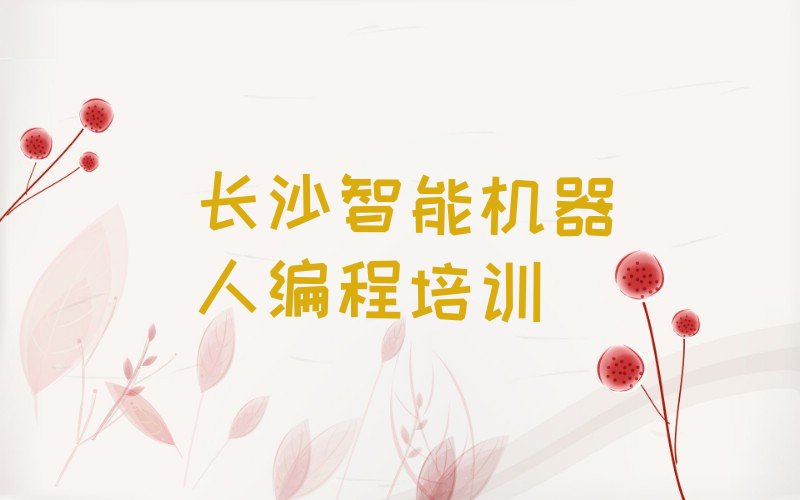 长沙望城区少儿编程培训班