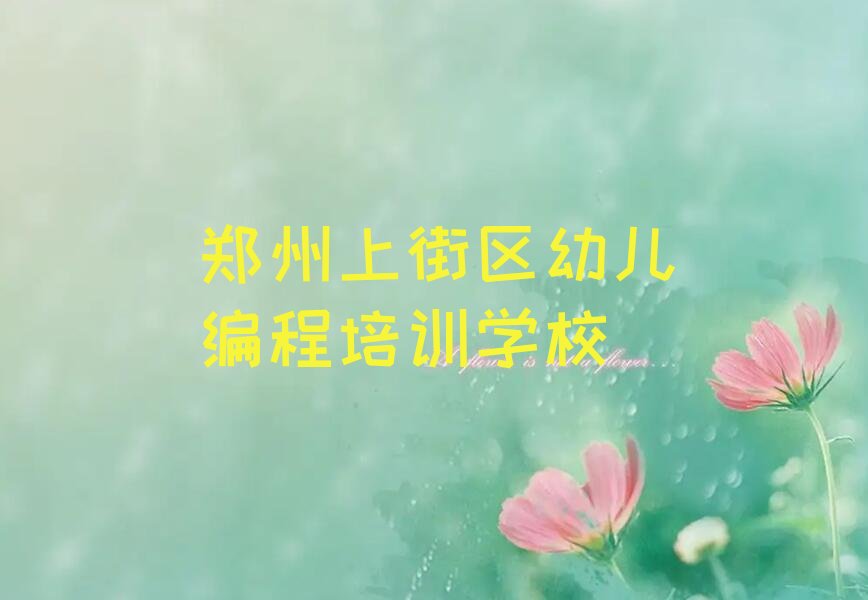 十大郑州上街区短期幼儿编程培训班排行榜
